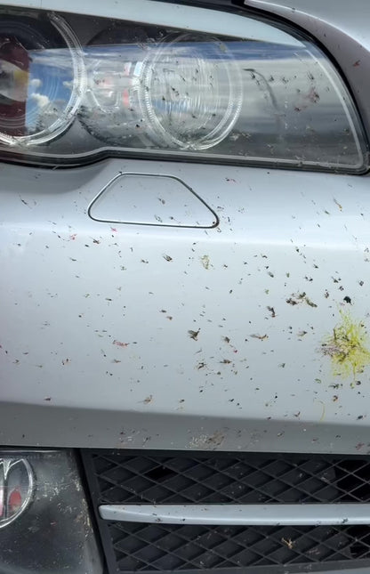 DiamondTech™ Bug Buster Insect Remover